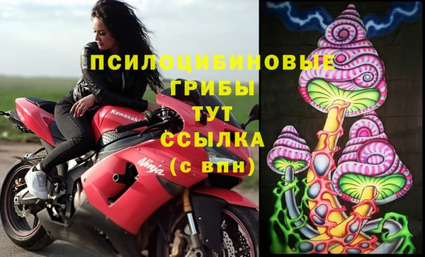 прущая мука Зеленодольск