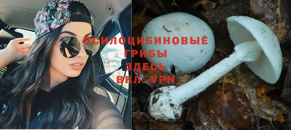 прущая мука Зеленодольск