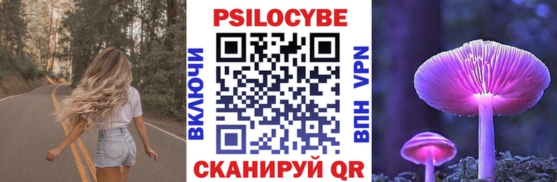 blacksprut ссылка  Себеж  Псилоцибиновые грибы Cubensis  продажа наркотиков 